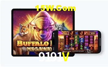 Login Seguro 9191V