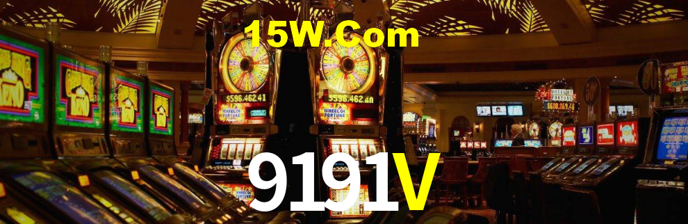 Premium Interface 9191V